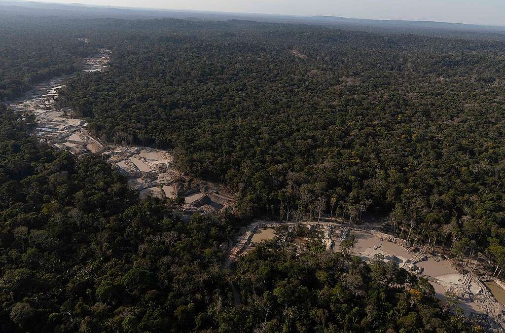 GREENPEACE: Em dois meses, garimpo destruiu área de 462 campos de futebol em áreas protegidas da Amazônia