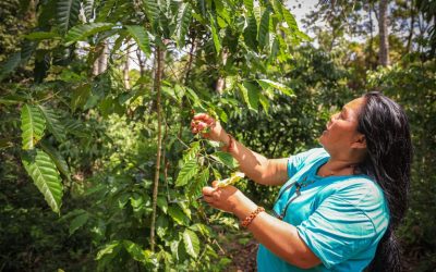 FUNAI: Retrospectiva 2024: Funai atua em várias frentes para assegurar soberania alimentar aos povos indígenas e apoio à gestão ambiental e territorial