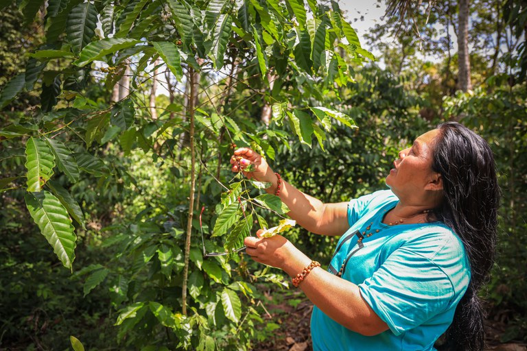 FUNAI: Retrospectiva 2024: Funai atua em várias frentes para assegurar soberania alimentar aos povos indígenas e apoio à gestão ambiental e territorial