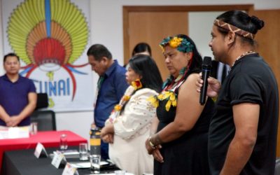 FUNAI: 21ª Reunião do Comitê Gestor da PNGATI discute participação indígena na COP 30