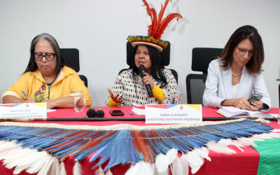 MPI: COP 30, financiamento, adaptação climática e saneamento são destaques da 21ª Reunião do Comitê Gestor da PNGATI