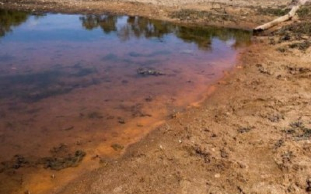 MPF: MPF processa Vale, União e estado do Pará pela contaminação dos indígenas Xikrin do Cateté por metais pesados