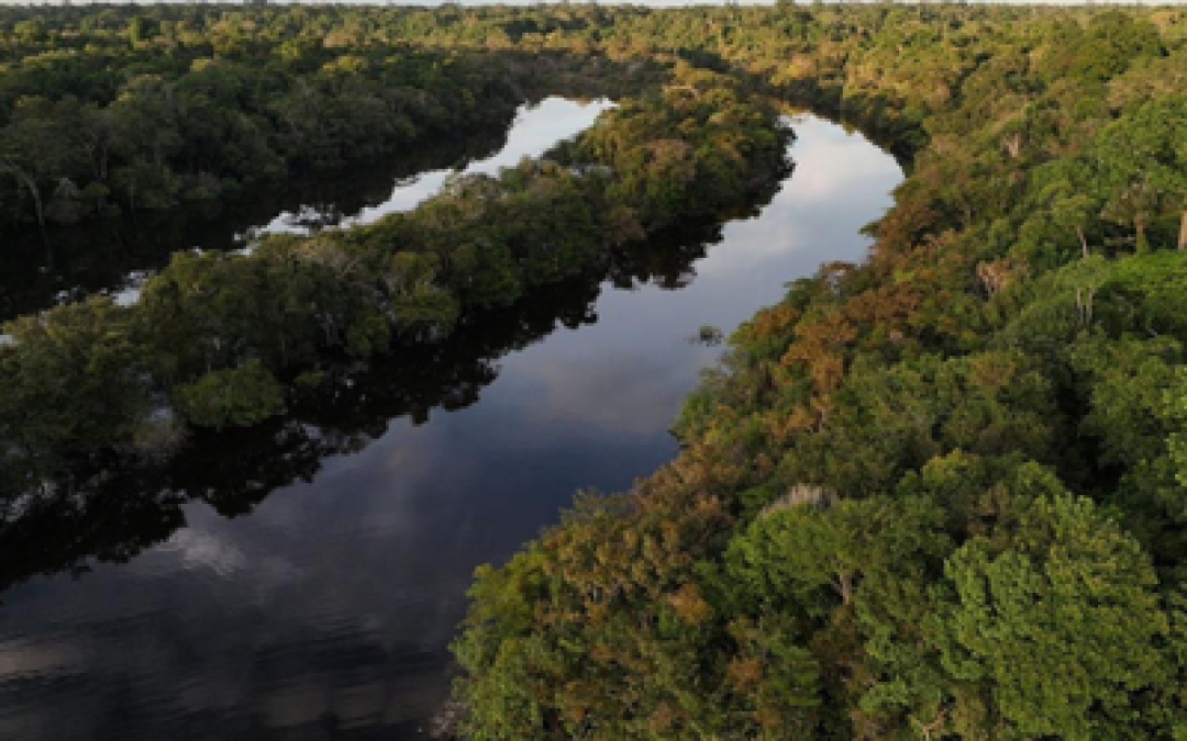 MPF: MPF inspeciona políticas públicas e situação de territórios compartilhados por indígenas isolados em Lábrea (AM)
