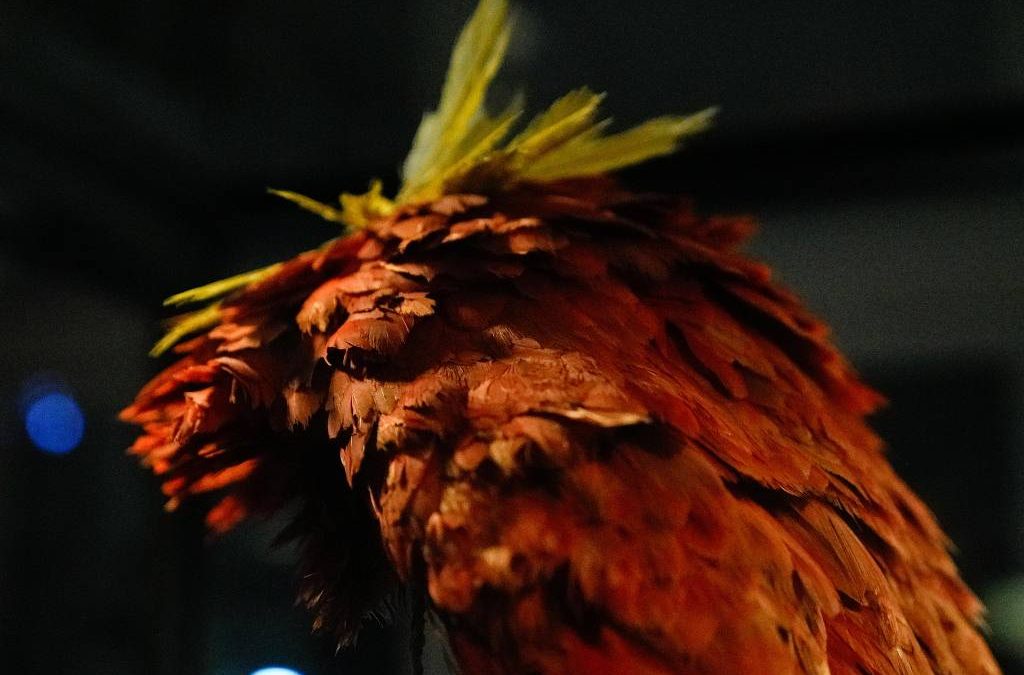 FOLHA DE S. PAULO: Os povos originários na visão dos museus