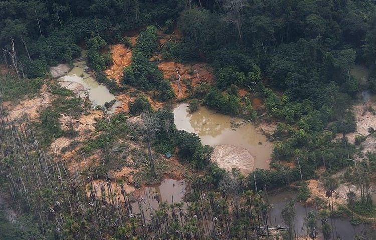 BRASIL DE FATO: Ruralista Tereza Cristina vai presidir grupo no Senado para regulamentar mineração em terras indígenas