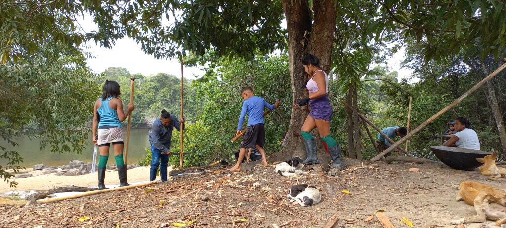 IEPÉ: Iniciativa ajuda a manter solo vivo em roças do Tumucumaque