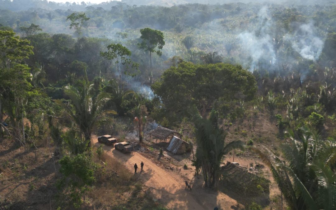 AMAZÔNIA REAL: A guerra às drogas também é uma guerra aos territórios tradicionais