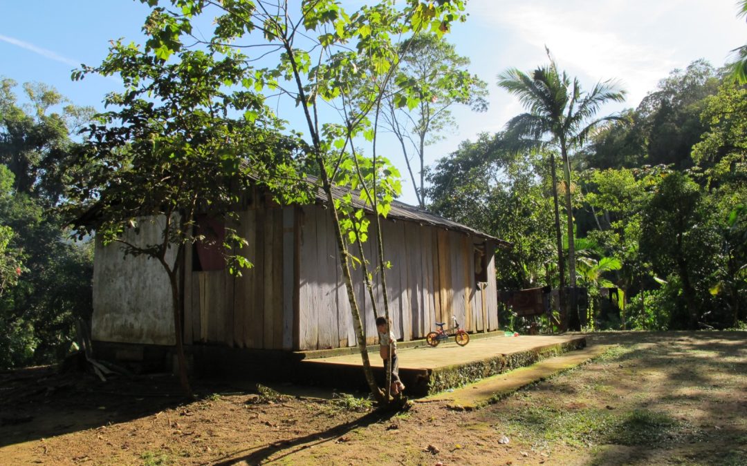 CTI: Povo Guarani denuncia ataques ao seu modo de vida em caso de sobreposição no litoral do Paraná