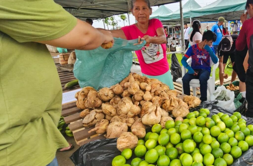 IEPÉ: Feira Indígena do Oiapoque celebra resultados apesar da crise da mandioca 