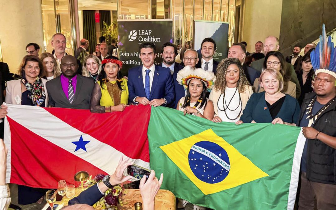 AMAZÔNIA REAL: Mercado de carbono ‘sequestra’ discussões no Pará da COP-30