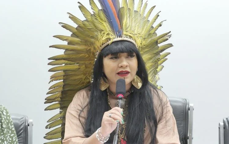 BRASIL DE FATO: ‘Fala racista e colonial’: deputado bolsonarista questiona origem indígena de Célia Xakriabá