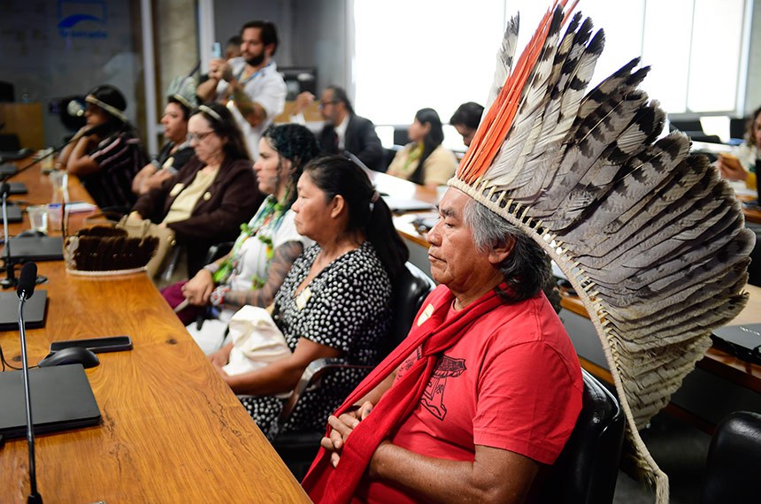 SENADO: Política indigenista ‘persiste no isolacionismo’, diz presidente da CDH