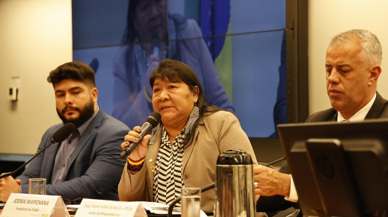 FUNAI: Funai reafirma autonomia dos povos indígenas e apresenta situação fundiária de terras indígenas do sul da Bahia em audiência na Câmara dos Deputados