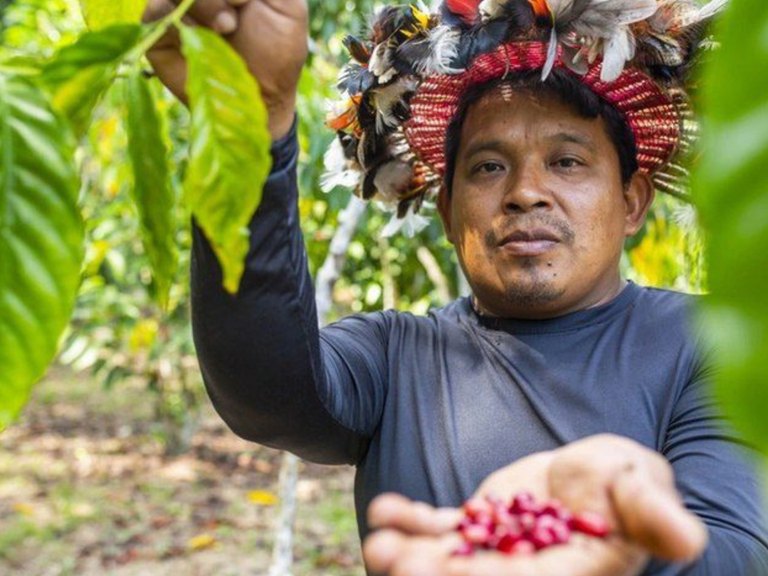 MPI: Com investimento do MPI, Governo Federal lança edital de apoio aos Núcleos de Estudos em Agroecologia