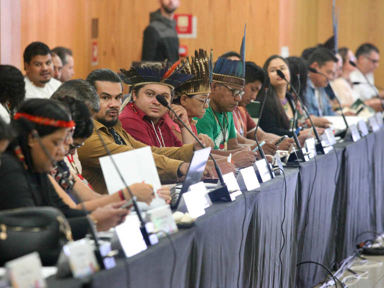 MPI: Conselho Nacional de Política Indigenista realiza primeira reunião de 2025
