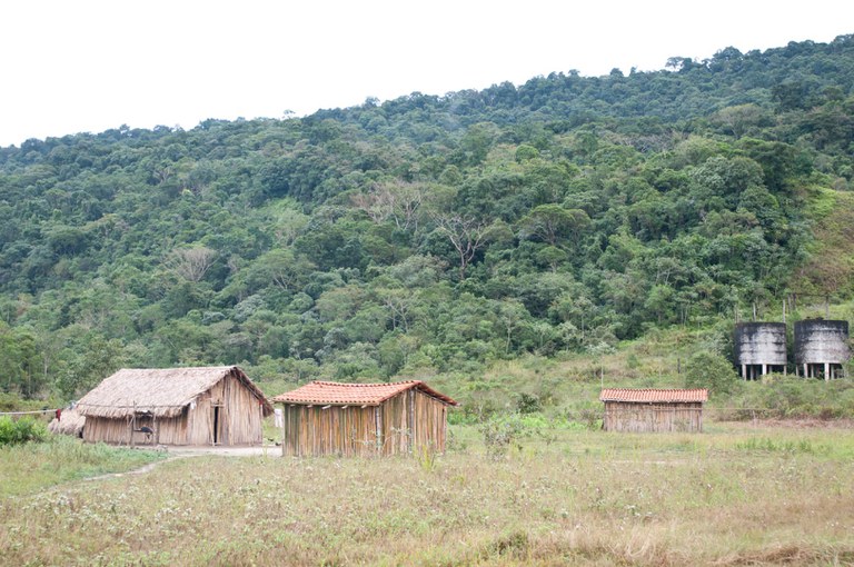 FUNAI: Dia Nacional da Mata Atlântica: demarcação de terras indígenas contribui para a conservação do bioma
