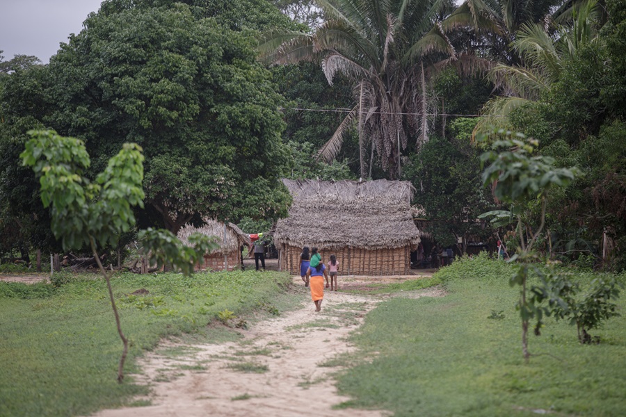 CIMI: Regra de Bolsonaro permitiu expansão de empresa sobre terra indígena