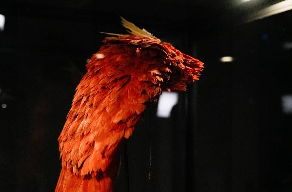 FOLHA DE S. PAULO: Indígenas preparam vigília no Museu Nacional para cobrar devolução do manto tupinambá à Bahia