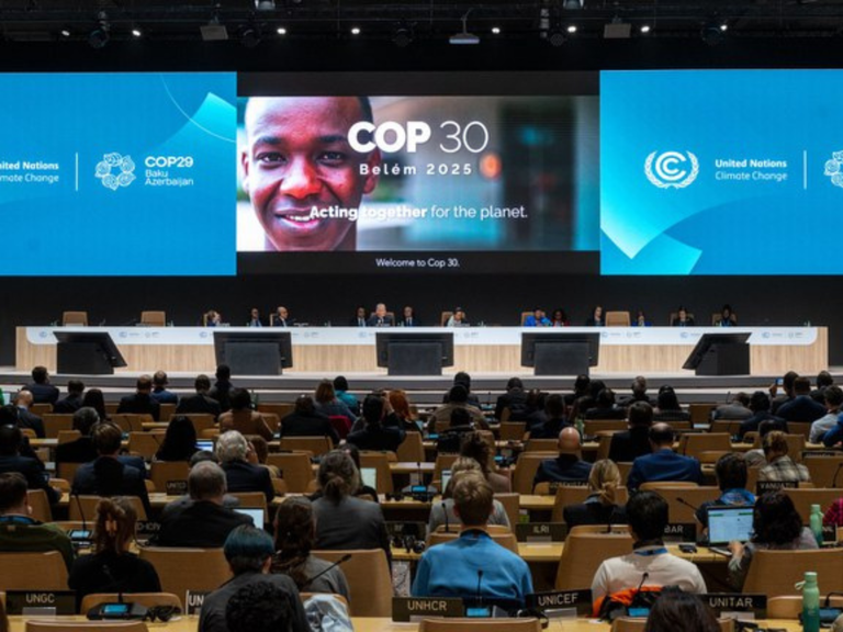 MPI: Em agenda internacional, MPI reforça demarcação de terras indígenas como medida climática