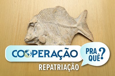 MPF: Sabia que o MPF já conseguiu repatriar fósseis, filhotes de cobra albina e até sangue indígena?