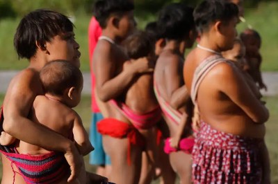 MPF: MPF cobra medidas da Funai para proteção do povo Yanomami em Barcelos (AM)