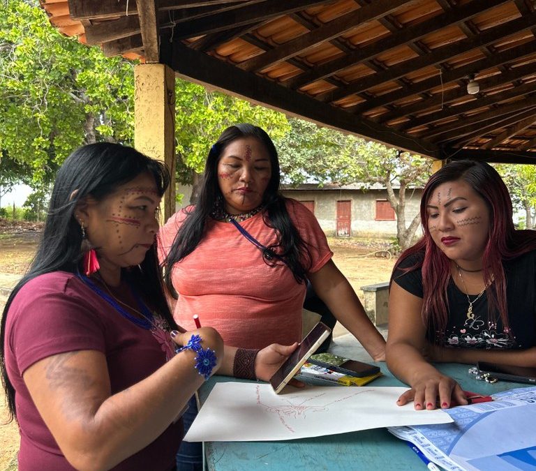 FUNAI: Funai e Unifesp realizam oficina para fortalecer rede de atenção à saúde das mulheres Yanomami e Ye’kwana