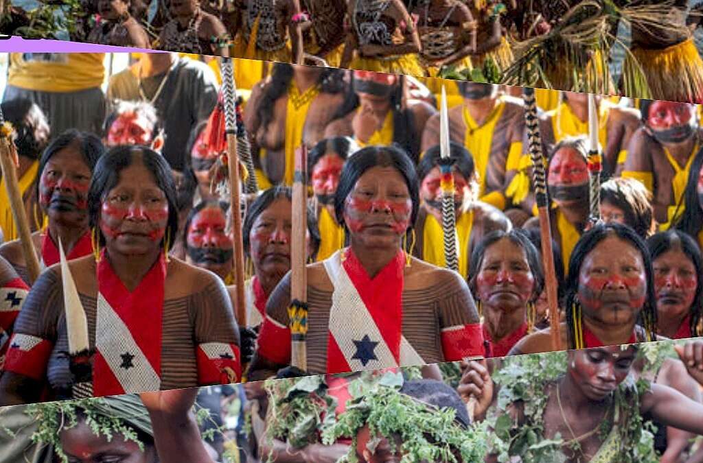 GREENPEACE: 3 continentes, 1 luta: América Latina, África e Ásia unidas pela vida no planeta