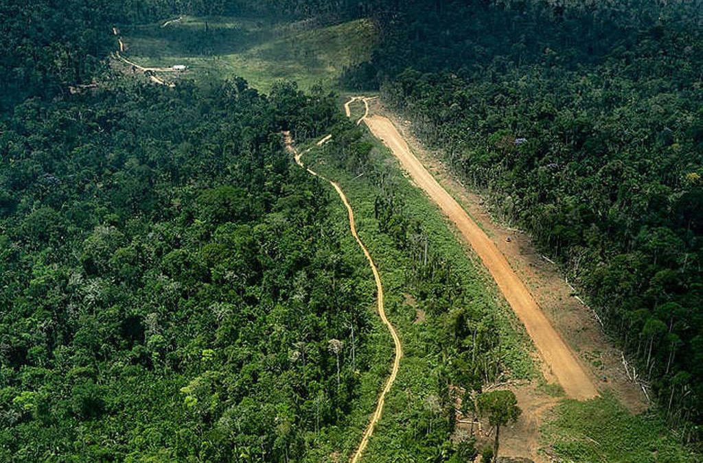 FOLHA DE S. PAULO: Indígenas pedem que governo brasileiro confirme presença de povos isolados na Amazônia