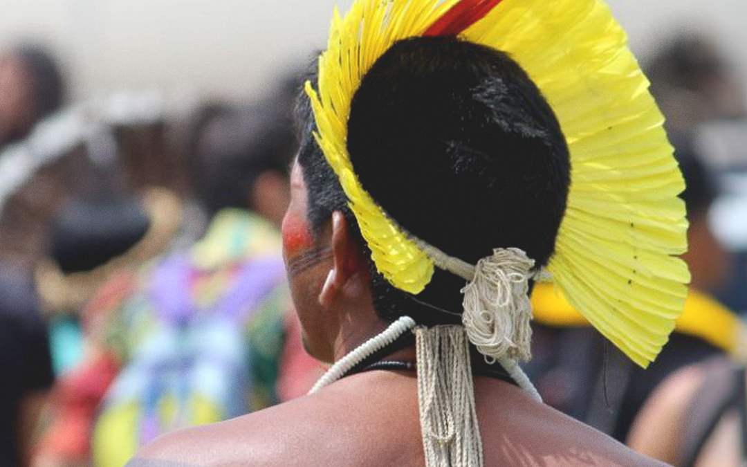 APIB: Em audiência na CIDH, Apib reivindica a criação da Comissão Nacional Indígena da Verdade