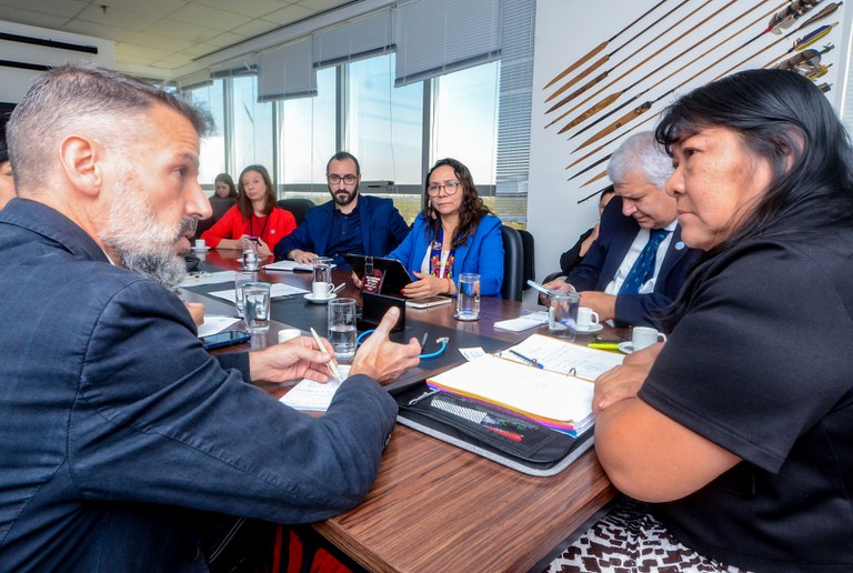 FUNAI: Funai se reúne com representantes da FAO para tratar de projetos de restauração de territórios degradados