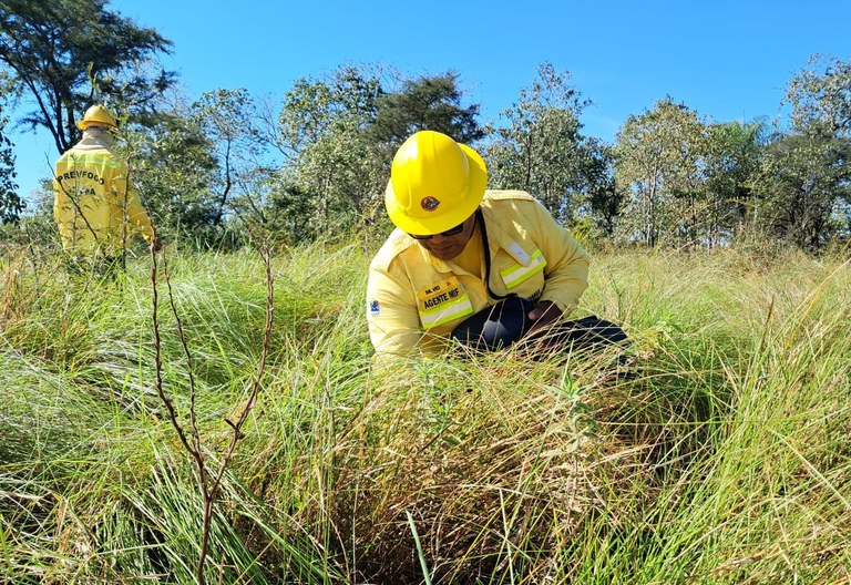 FUNAI: Indígenas Kadiwéu protagonizam a prevenção a incêndios no Pantanal e Cerrado com apoio da Funai e Ibama