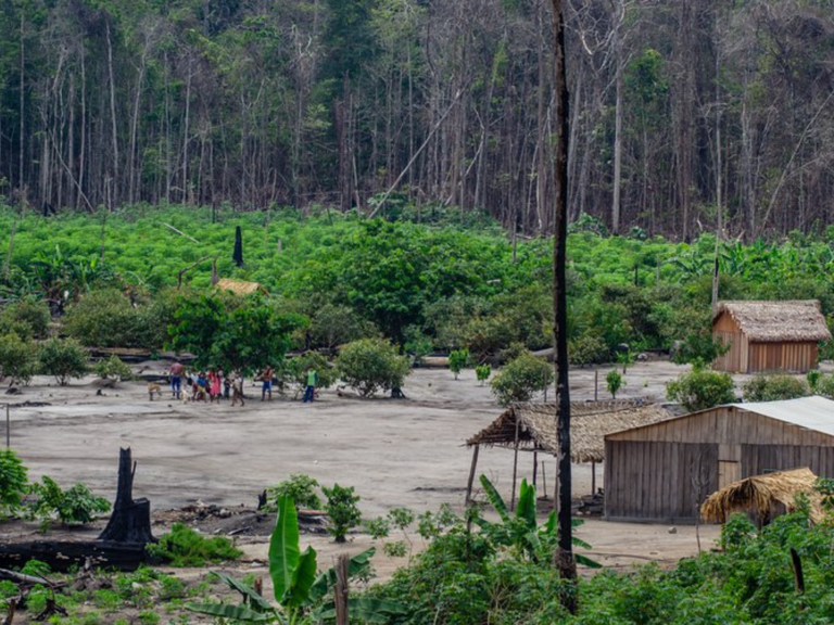 MPI: Funai lança processo seletivo para agentes e especialistas em proteção territorial