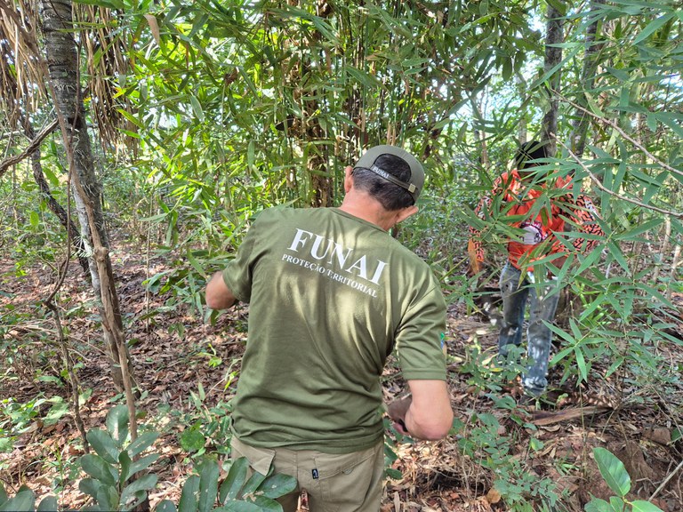 FUNAI: Funai apoia coleta de taquari e impulsiona geração de renda do artesanato Karajá em Goiás