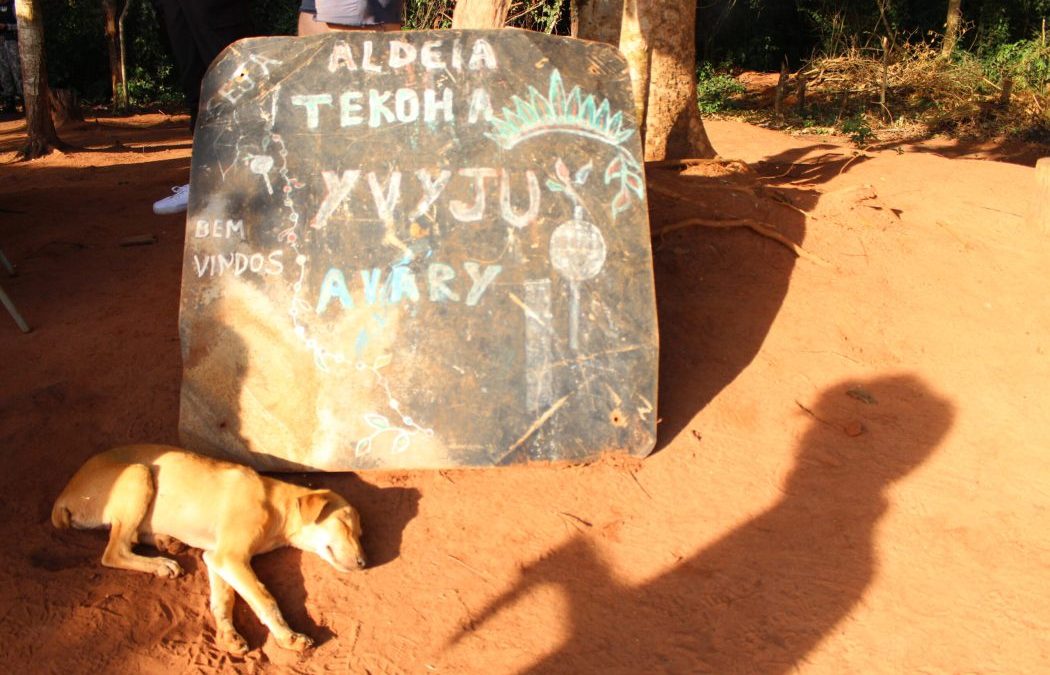 CIMI: Órgãos de Direitos Humanos se manifestam sobre assassinato bruta de jovem Avá-Guarani no Oeste do Paraná