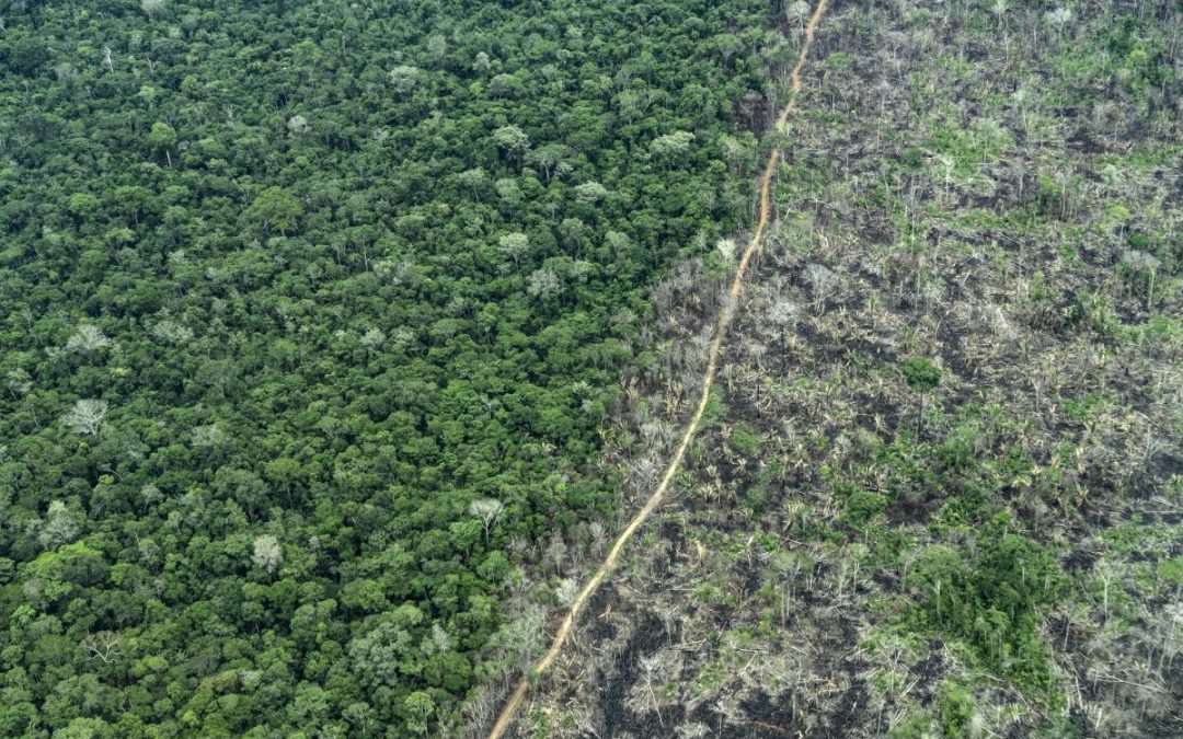 ISA: Invasões e garimpo seguem devastando Terras Indígenas com povos isolados, apesar das medidas de proteção