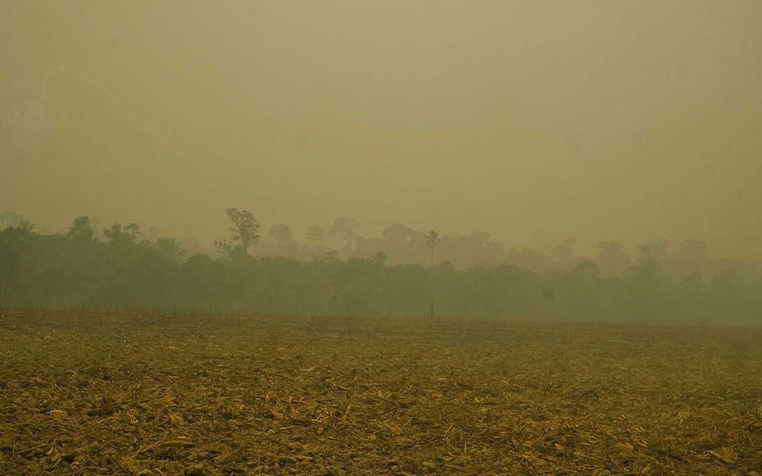 AMAZÔNIA REAL: PL da Devastação é aprovado e governo articula veto