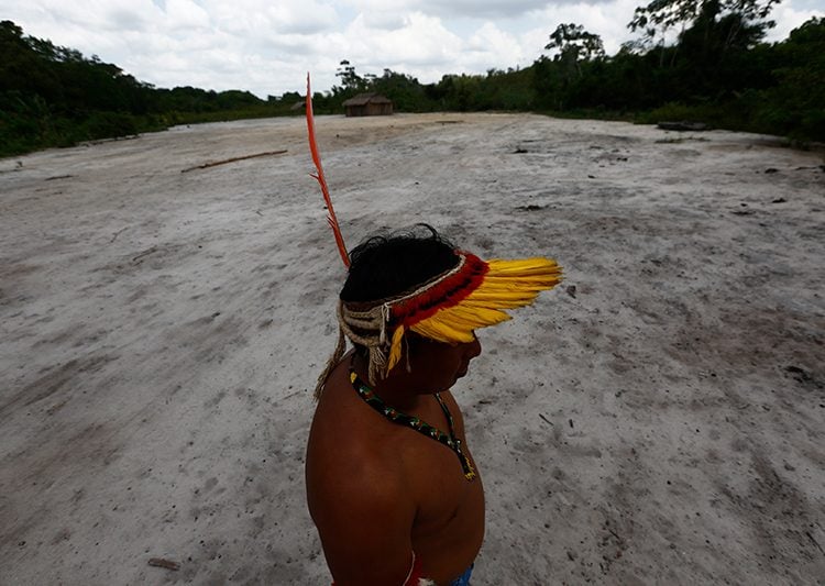 BRASIL DE FATO: Conflito entre os Ka’apor leva Justiça a suspender projeto de carbono no Maranhão
