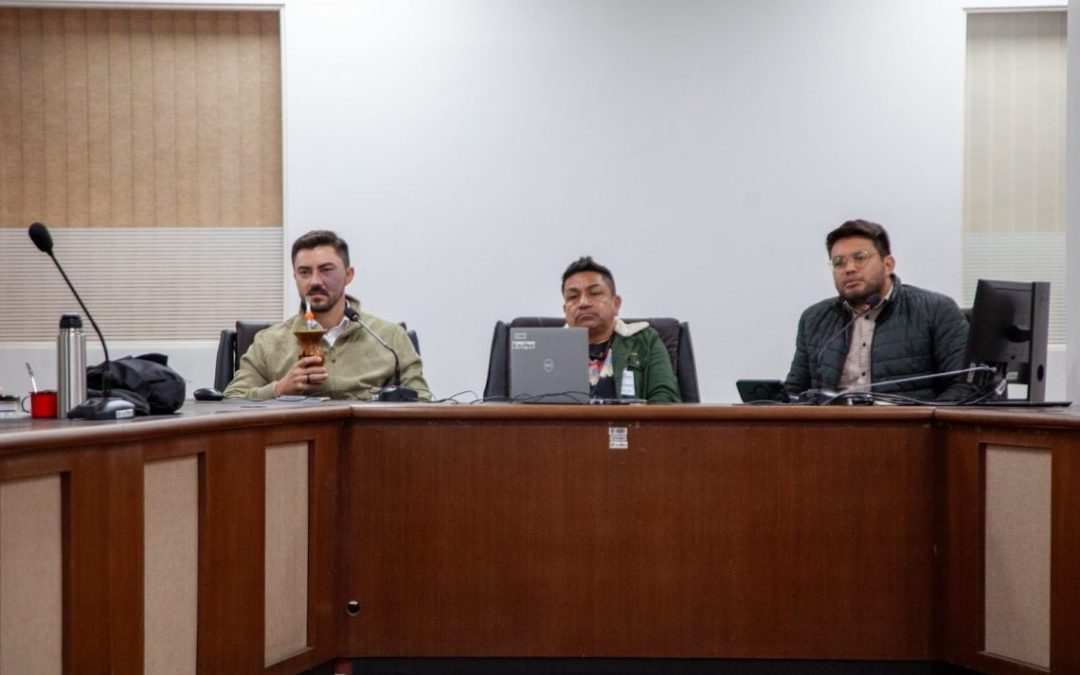 BRASIL DE FATO: Assembleia Legislativa do RS deve discutir doação de área da Fepagro com presença de indígenas Mbya Guarani