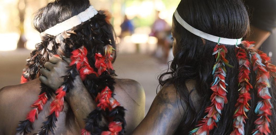 ONU: La inteligencia artificial se utiliza a menudo para rastrear a activistas indígenas