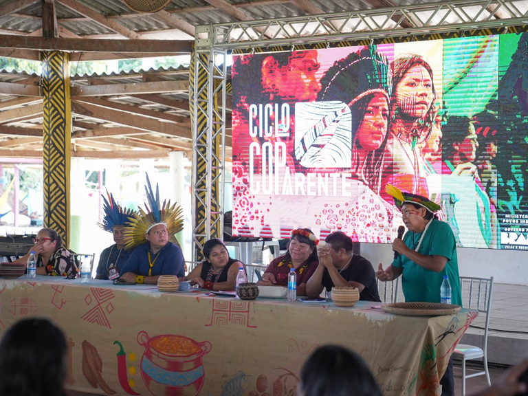 MPI: Carta da presidência da COP 30 reconhece contribuição dos povos indígenas como protetores da biodiversidade