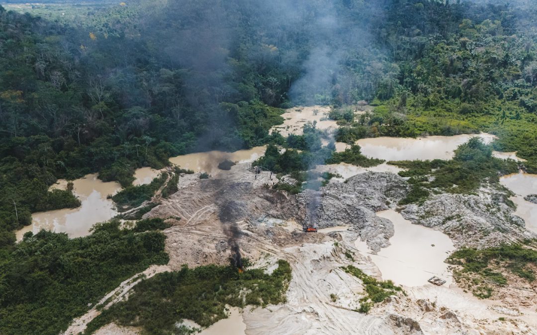 AMAZÔNIA REAL: Desintrusão na TI Kayapó deixa promessas e incertezas