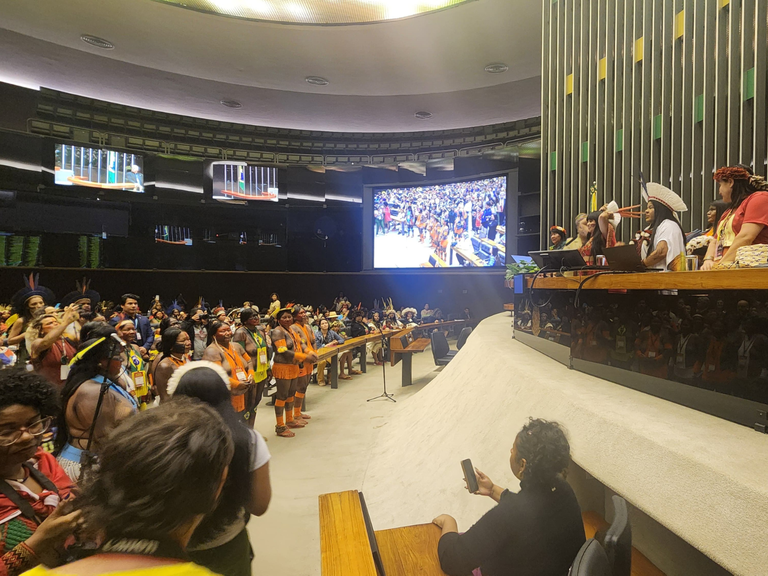 MPI: Homenagem reúne 500 mulheres indígenas no plenário da Câmara dos Deputados