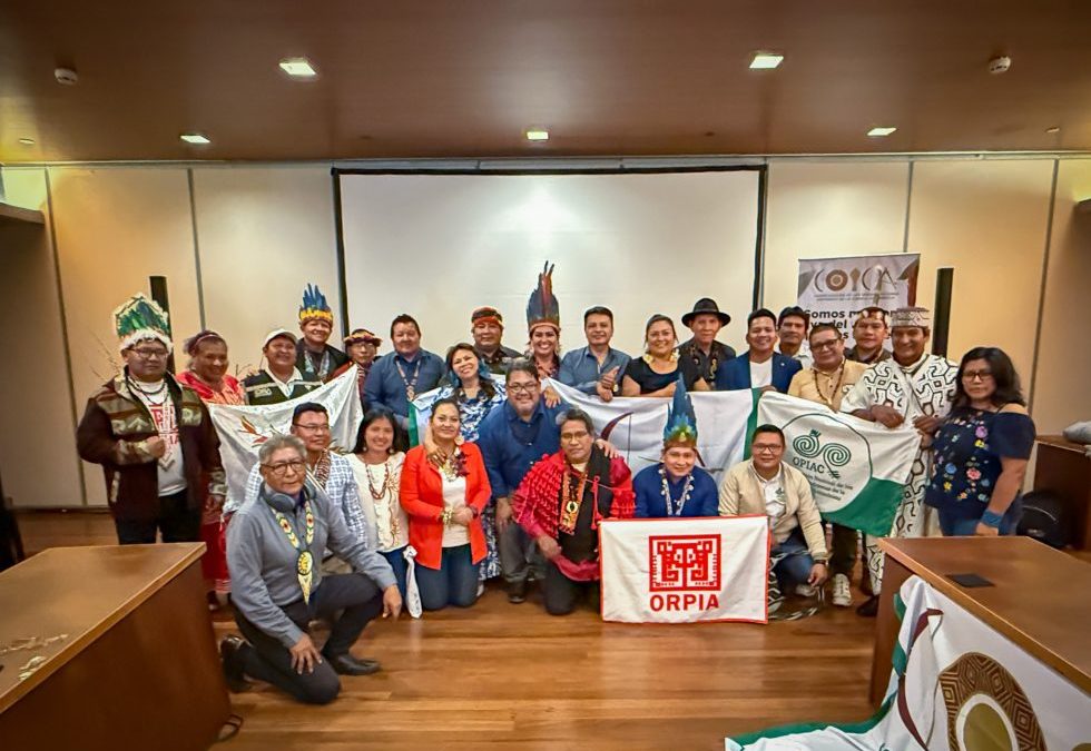 COICA: COICA presenta sus propuestas para proteger la Amazonía en la V Cumbre de Presidentes de la OTCA