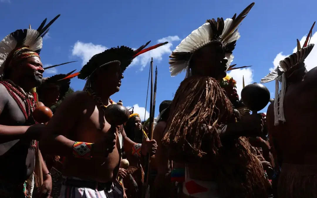 TVT NEWS: Gastronomia indígena é celebrada em feira do Itaú Cultural