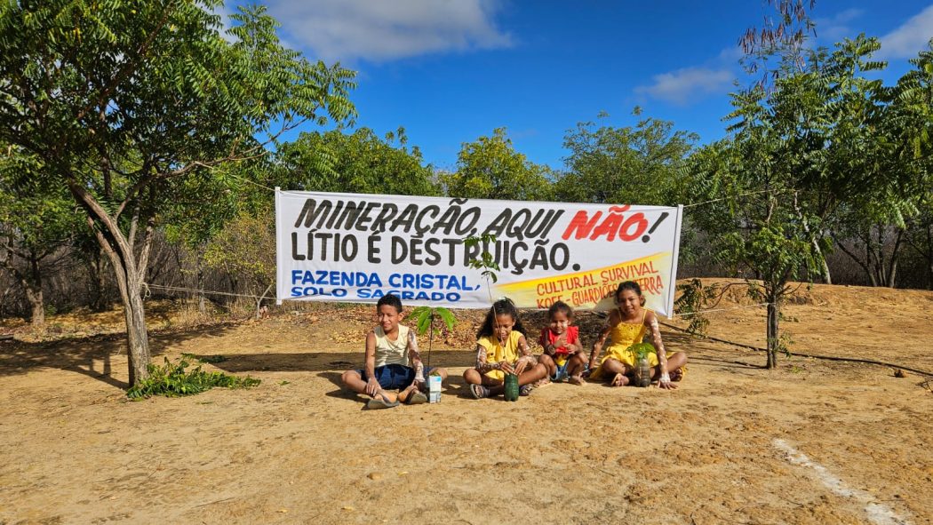 CIMI: Indígenas Pankararu e Pataxó ocupam a Fazenda Cristal em ato de denúncia e resistência contra mineradoras no Vale do Jequitinhonha