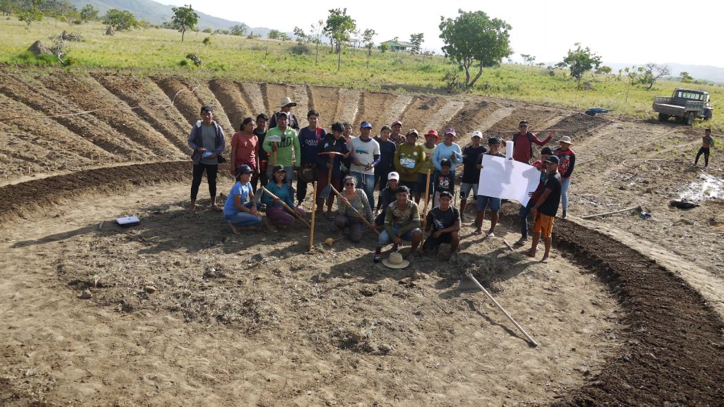 CIMI: Oficinas de Agroecologia e Economia Indígena fortalecem saberes e práticas ancestrais que protegem territórios e a vida