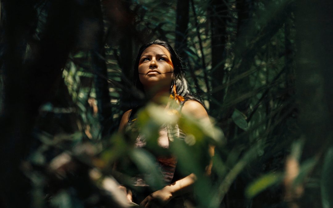 AMAZÔNIA REAL: Não há tempo nem espaço para retrocessos