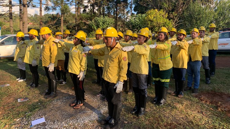 FUNAI: Brigada Indígena da TI Rio das Cobras revitaliza áreas naturais no Paraná com apoio da Funai e Ibama