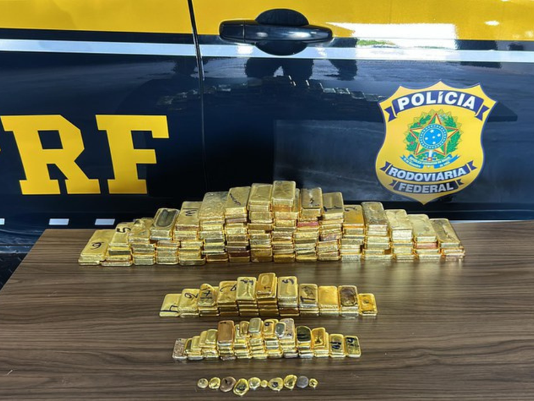 MPI: PRF realiza maior apreensão de ouro feita pela corporação em Roraima