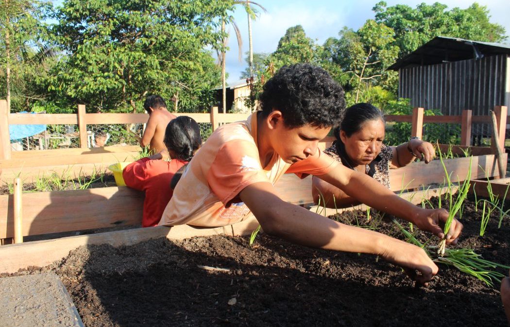 CIMI: Hortas comunitárias: além de alimentos, ação concreta de enfrentamento às ameaças ao território Apurinã no Amazonas
